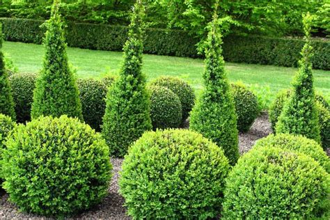 ld landscaping